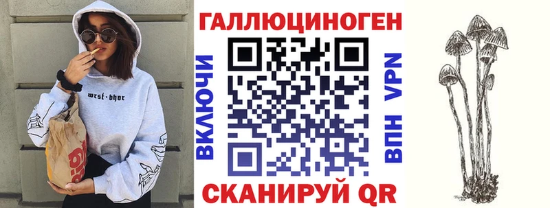 дарнет шоп  Цивильск  Псилоцибиновые грибы мухоморы 